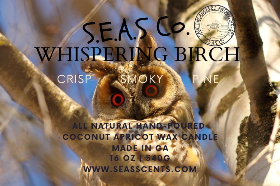 Whispering Birch Candle (Large)