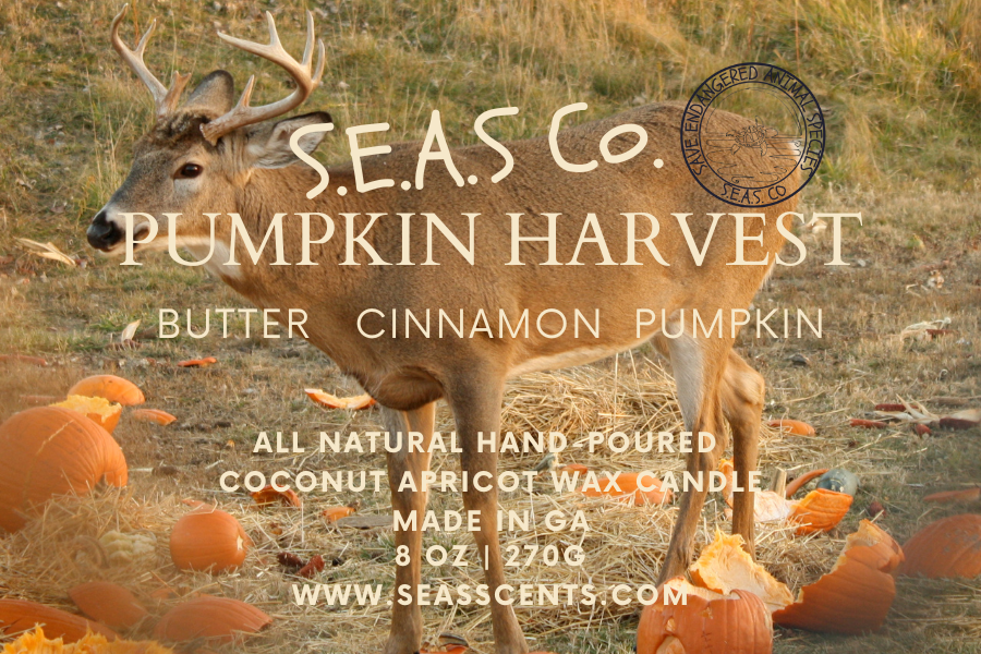 Pumpkin Harvest Candle