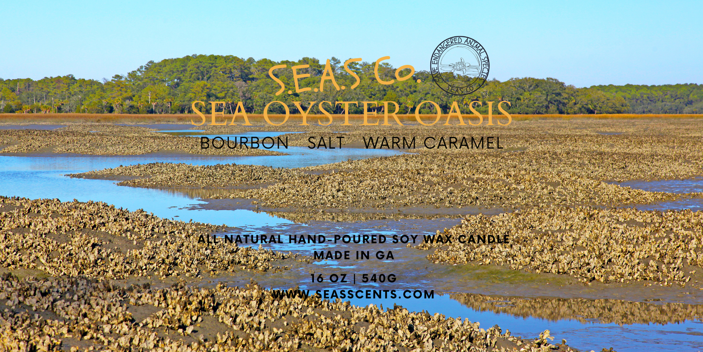 Sea Oyster Oasis Candle