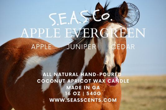 Apple Evergreen Candle (Large)