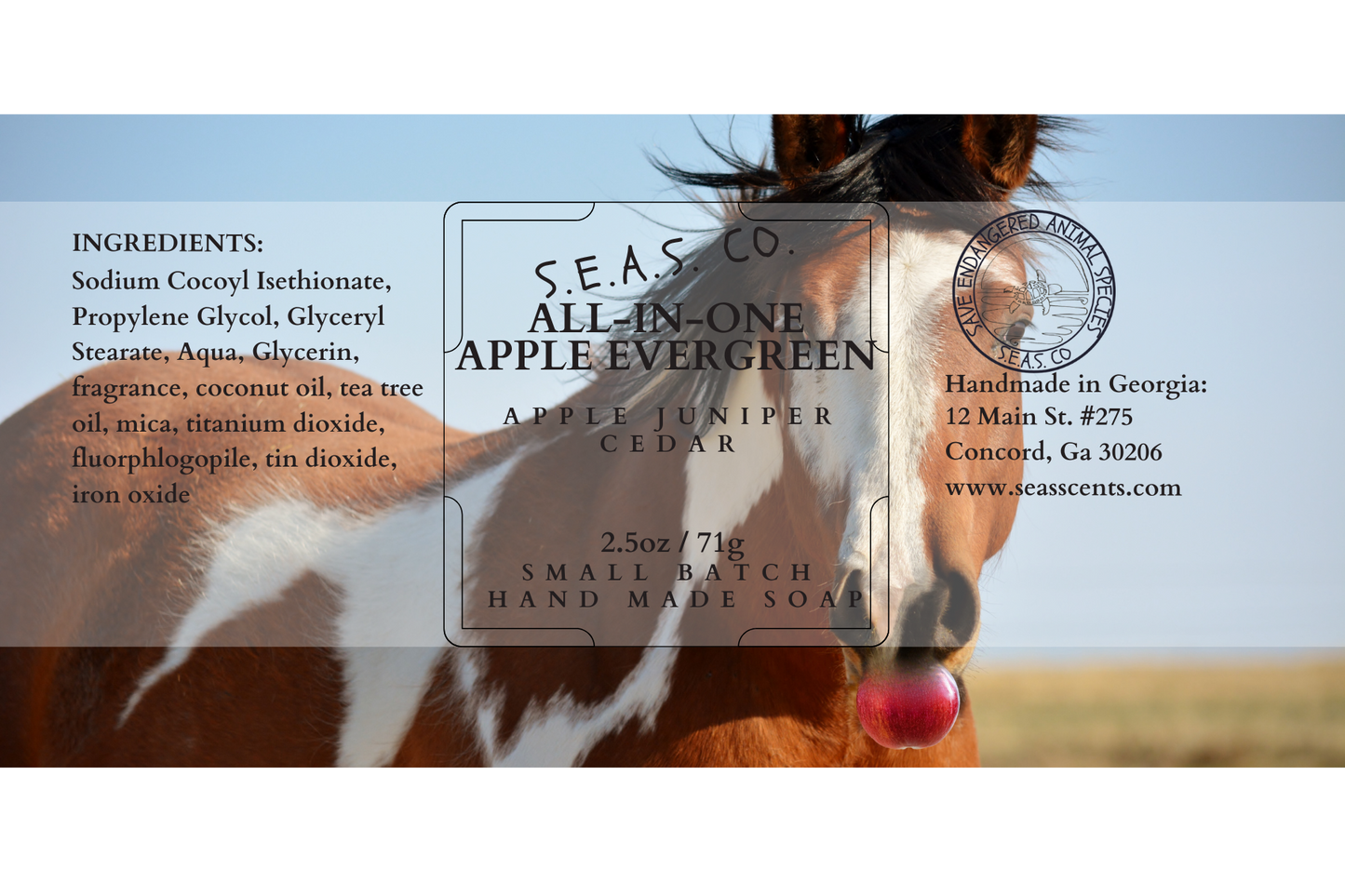 All-In-One Apple Evergreen Shampoo and Body Bar