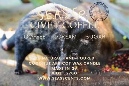 Civet Coffee Candle