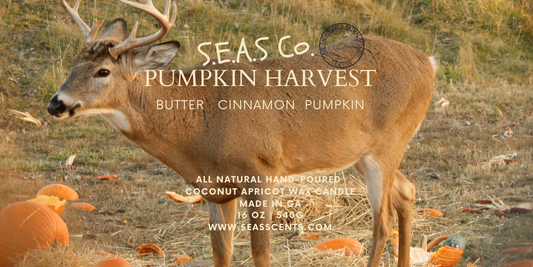 Pumpkin Harvest Candle (Large)
