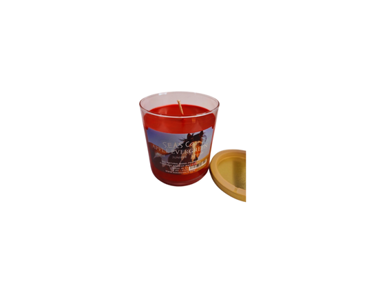 Apple Evergreen Candle (Large)