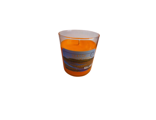 Sea Oyster Oasis Candle