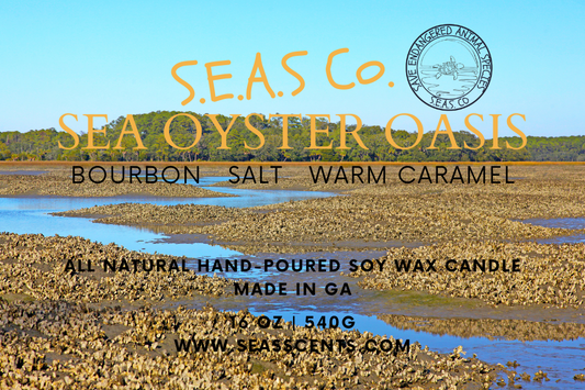 Sea Oyster Oasis Candle (Large)